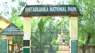 From Jan 4, Bhitarkanika to be out of bounds for visitors for crocodile census 