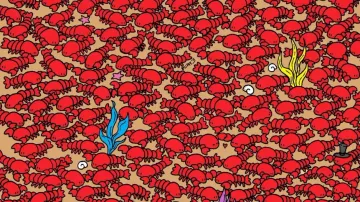 Find 4 crabs among the lobsters in 12 secs
