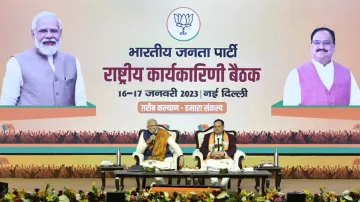 PM Modi addressing at BJP National Executive meeting