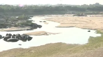 Mahanadi River is already drying up in January!