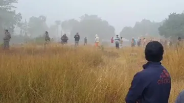 Elephant Tramples Two Persons