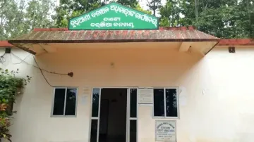 Leopard Cat Found Dead