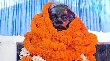 Veer Surendra Sai's Idol At His Village