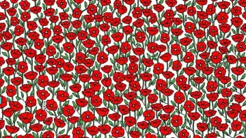 Can you spot the hidden crab in 7 seconds