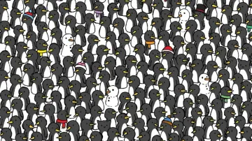  Can spot the 3 cats among the penguins 