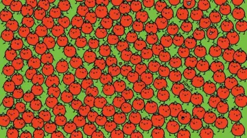 Spot 3 apples among tomatoes 