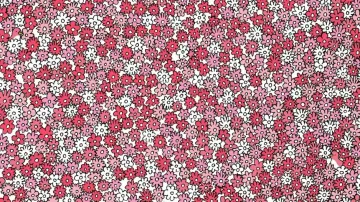 Spot 5 stars among flowers