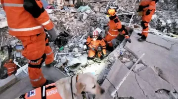 Turkey earthquake tragedy: Miraculous escape for three