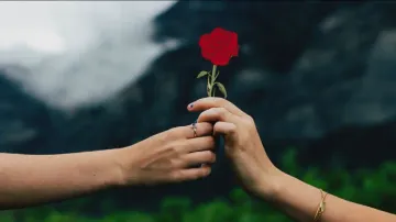 Valentine's Day: Special courses to make a girl/boy fall in love! Creative ad goes viral