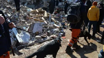 Death toll in Turkey-Syria earthquake surpasses 41,000