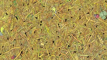 Can you find a needle in this haystack in 11 secs?