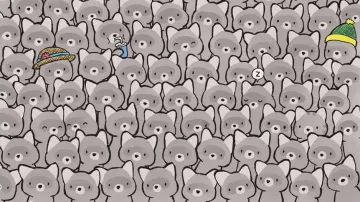 Can you find a cat hidden among raccoons in this optical Illusion in 9 secs?