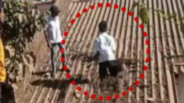Odisha schoolboys risk lives, jump off school building to make Instagram reels