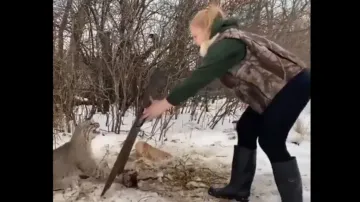 Brave girl frees snow leopard from trap single-handedly, watch