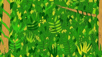 Can you find snake in the jungle in 10 secs.