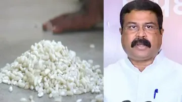 Plastic rice rumour: Union Minister Dharmendra Pradhan urges Minister of Consumer Affairs to investi