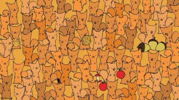 If you have hawk eyes you can easily spot the mouse among squirrels in 11 secs!!