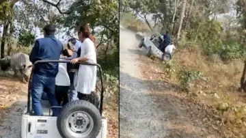 Rhinoceros chases tourists in safari, vehicle overturns with passengers; watch