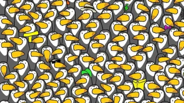 Can you find hidden Penguin among Toucans?