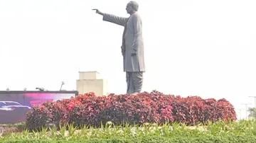 Iresine Plants Near Bhubaneswar Airport