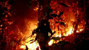 Forest Fire In Karanjia