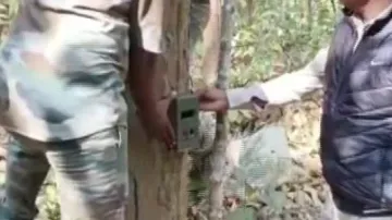 Trap Camera Installed In Jungle