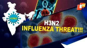 H3N2 Influenza 