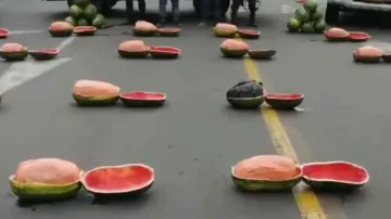 Loads of ganja-stuffed-watermelons seized by cops, watch