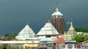Rodent menace: Servitors say no to rat repellent machine in Puri Srimandir 