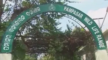 Elephant calf’s bone, hide recovered from Satkosia sanctuary