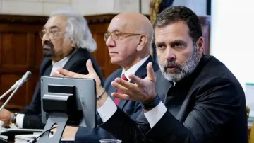 Furore over Rahul Gandhi’s remark