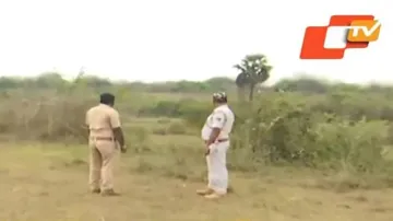 4 elephants stray into Sikharchandi Hill in Bhubaneswar, forest dept on toes