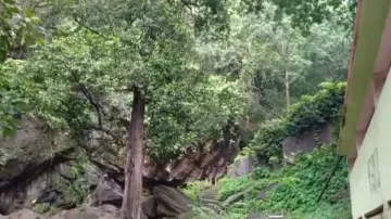 Odisha’s ayurvedic paradise Gandhamardan Hill gets biodiversity heritage site tag