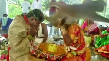 Monkey crashes wedding mandap, here’s what happened next