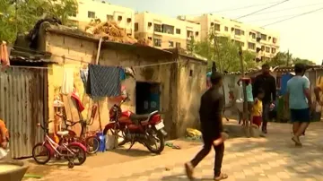 Stray dogs killed in Bhubaneswar