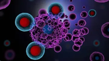 Immunotherapy Safe For Patients With Covid-19, Cancer