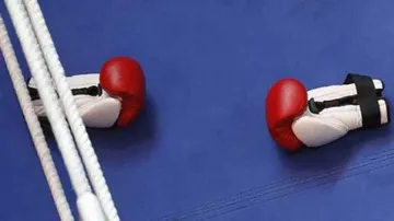 Indian Boxers Claim Four Silver Medals At Nation's Cup In Serbia