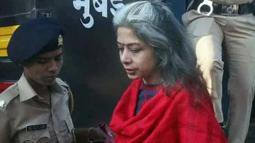 P Chidambaram Asked Us To Help Karti's Business, Make Overseas Payments: Indrani