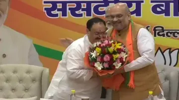 Amit Shah to remain BJP chief, JP Nadda made Working President
