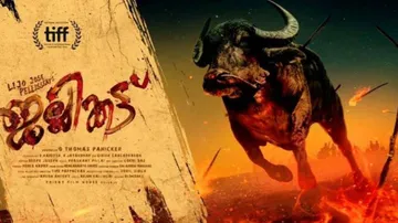 Lijo's Malayalam Film 'Jallikattu' Is India's Entry For Oscars 2021