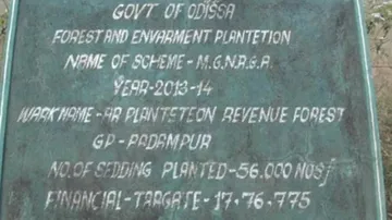 Only 56 Saplings In Place Of 56000, Locals Allege Corruption In Plantation Project