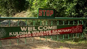 COVID19 Resurgence: India Once Again Shuts All National Parks, Sanctuaries For Tourists