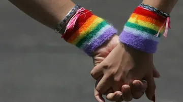 Same-Sex Partners Not Comparable With Indian Concept: Govt