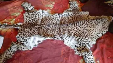 Leopard Skin Racket: Crime Branch STF nabs 2 more accused