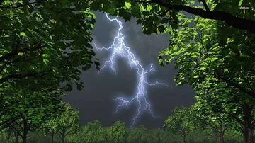 Lightning toll reaches 40 in State
