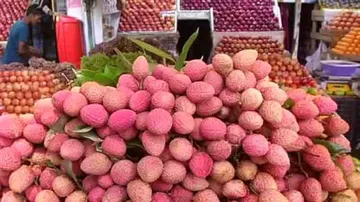 Litchi fruit disappears from markets after Odisha orders Encephalitis testing