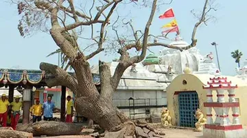 Cyclone Fani leaves a trail of devastation in Lokanath temple