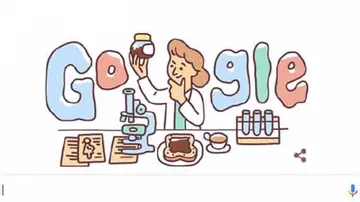 Google honours Lucy Wills who gave birth to folic acid