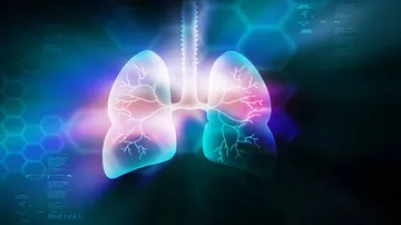 Eating food cooked on wood, coal may impair your lungs