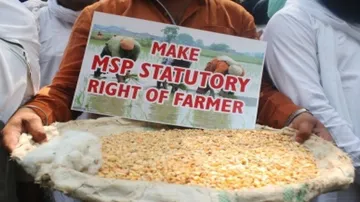 Cabinet Nod To MSP Hike For Rabi Crops, Rise Highest For Oilseeds, Pulses